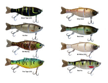 Load image into Gallery viewer, Trigger CETO 167