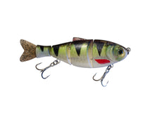 Load image into Gallery viewer, Trigger CETO 167